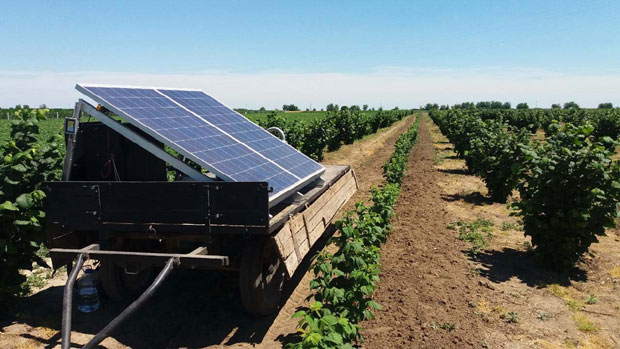 Добио отказ у фирми, а њива га примила